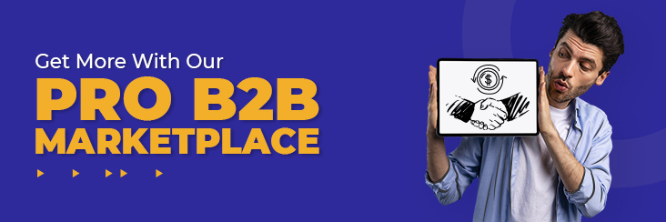 Get More from B2B Marketplace with Our B2B Pro Marketplace