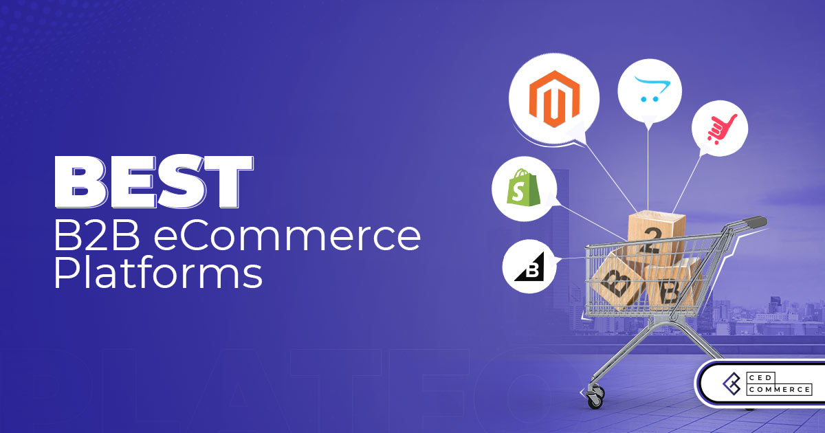 Top 5 B2B ecommerce for stores