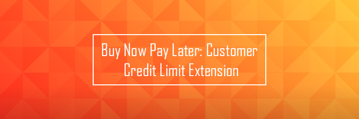 Customer credit limit extension