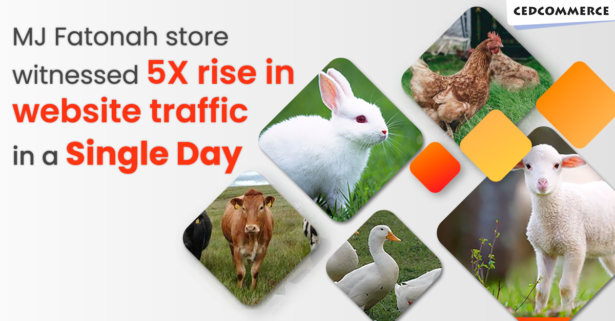 MJ Fatonah store witnessed 5X rise in website traffic in a Single Day