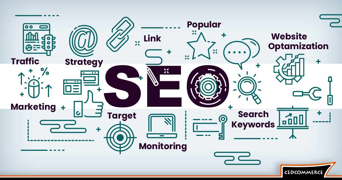 Search Engine Optimization- The Basics To Start With!