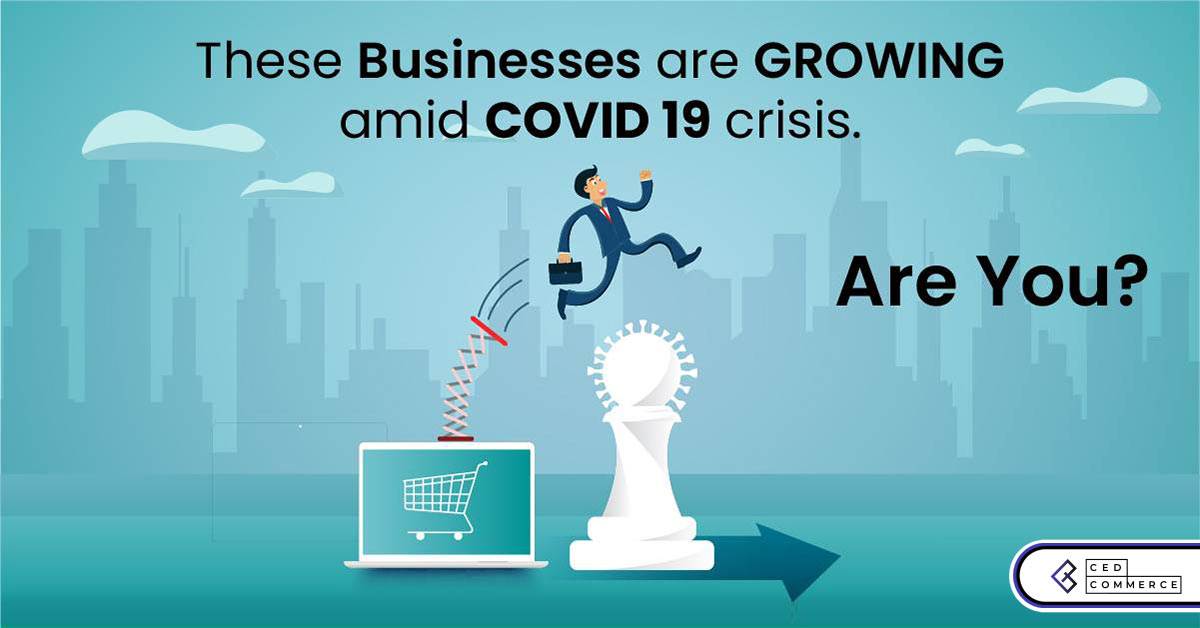 Businesses that are growing amid COVID 19 market crisis