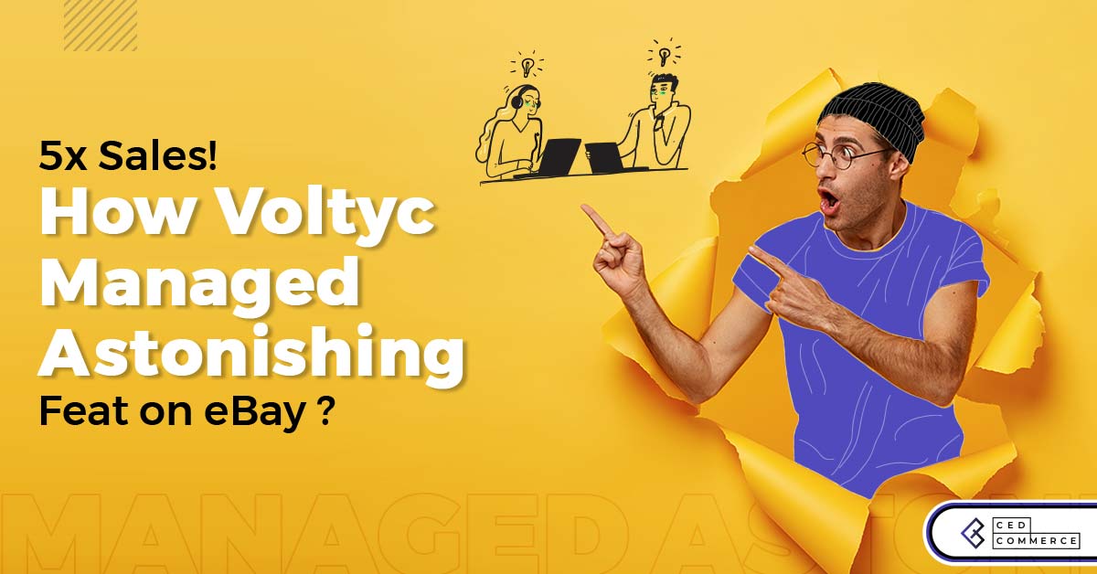 5X Increase! How Voltyc Managed Astonishing Feat on eBay
