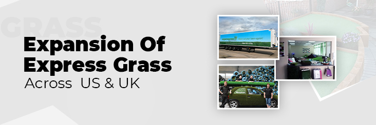 A USA Marketplace Case Study – The Growth of ExpressGrass