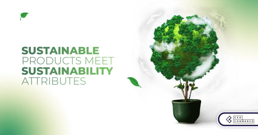 New Etsy Sustainability Attributes For The Eco-Conscious Buyer
