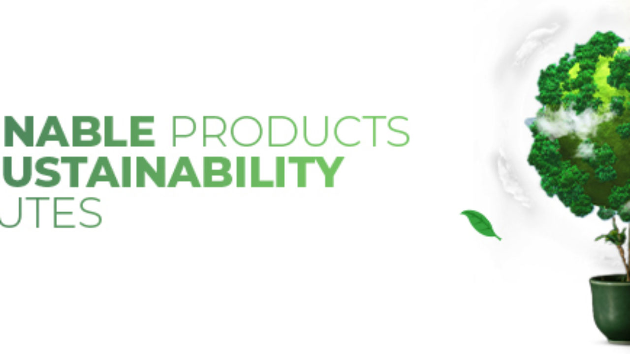 Eco-consciousness and sustainable products