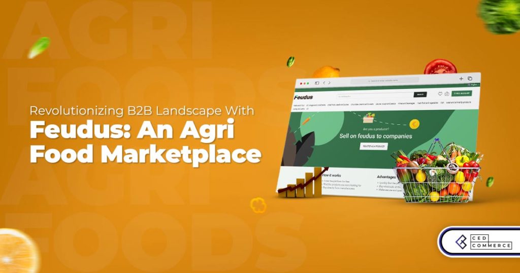 B2B Marketplace Success Story: Feudus